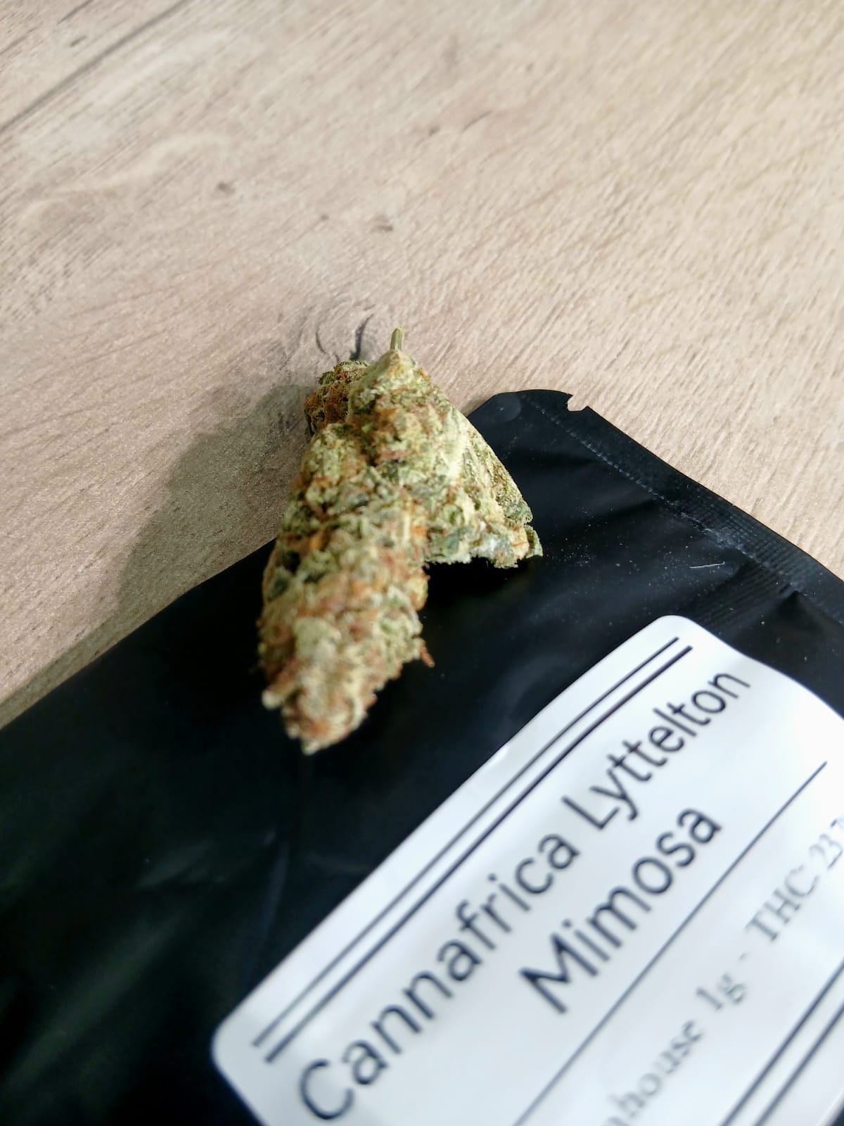 Greenhouse Mimosa bud on its black packaging